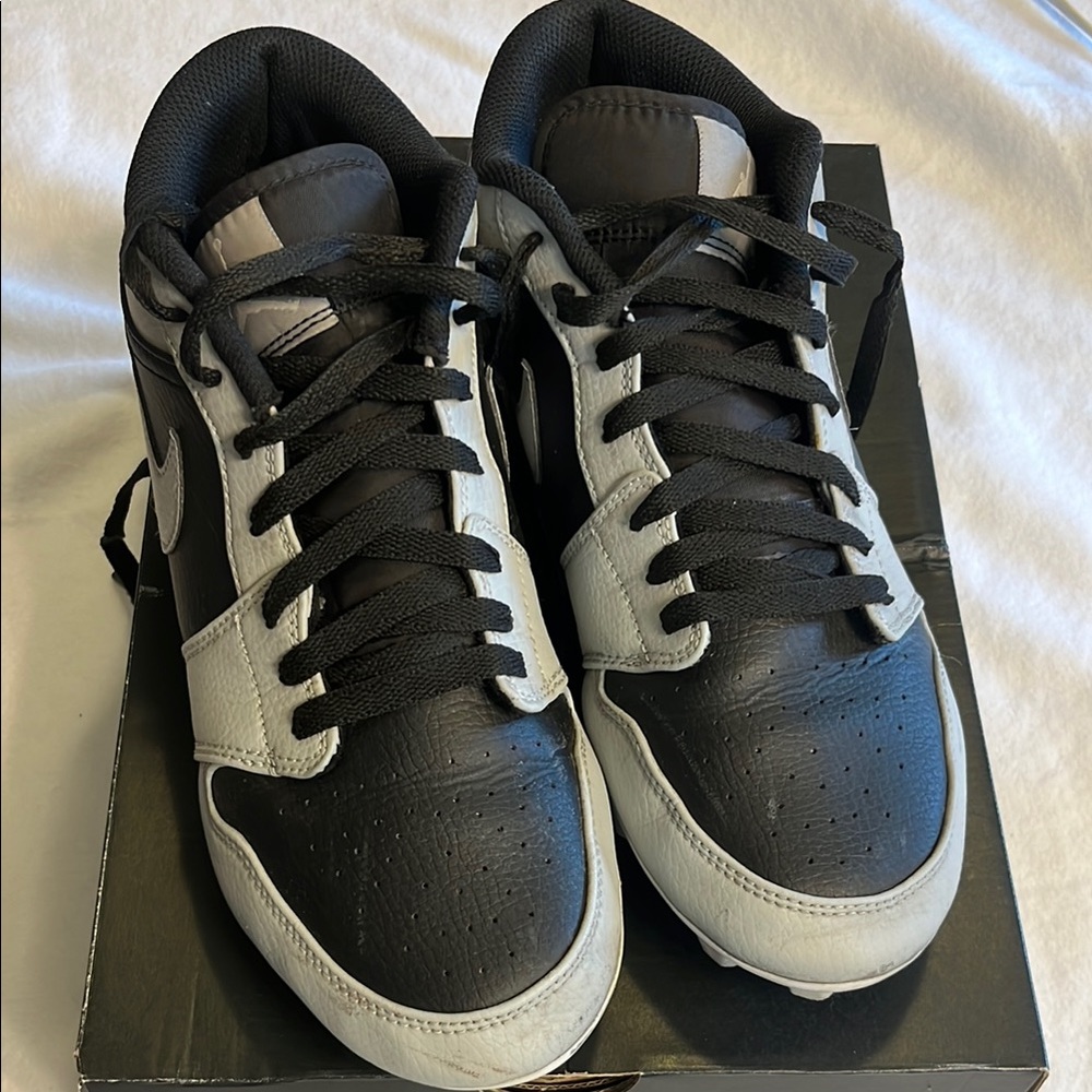 Jordan 1 Low TD Black and Light Smoke Gray